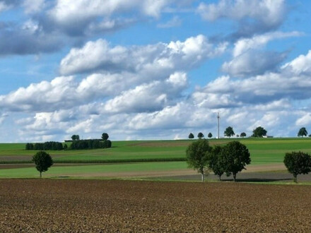 Ackerflächen mit ca. 3,6 ha in Niederstotzingen