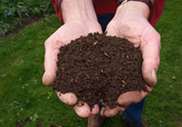 Was darf auf einen Komposthaufen? 5 Tipps zum richtigen Kompostieren