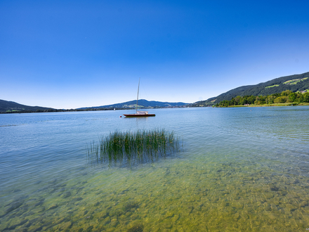 Einmalige Juwel: Seegrundstück mit Ferienhäuschen in bester Lage