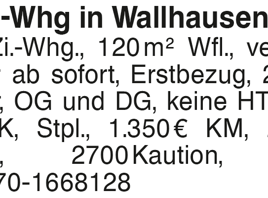 4-Zi.-Whg in Wallhausen