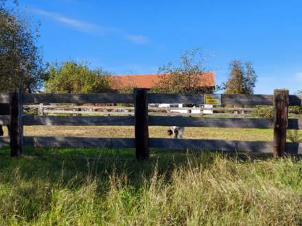 Romantisches Bauernhaus in OÖ