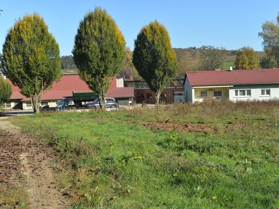 Aussiedlerhof mit landw. Flächen