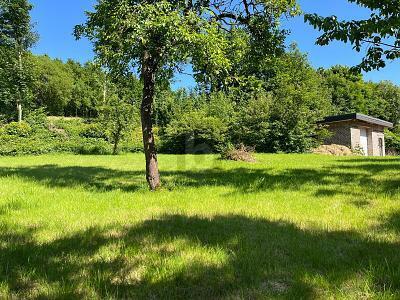 LÄNDLICHE OASE MIT VIELFÄLTIGER NUTZUNGSMÖGLICHKEIT – 23623 Ahrensbök, 23623 Ahrensbök – Vorschaubild 5
