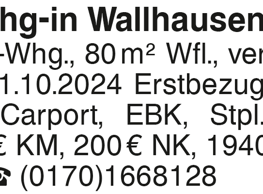 3Zi.Whg-in Wallhausen