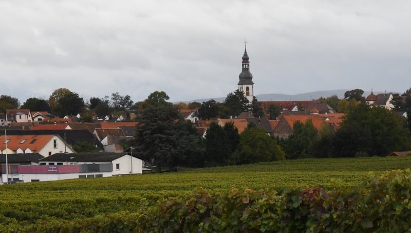 Weinbaugemeinde mit großem Potenzial: Kirchhheim an der Weinstraße. Foto: jös
