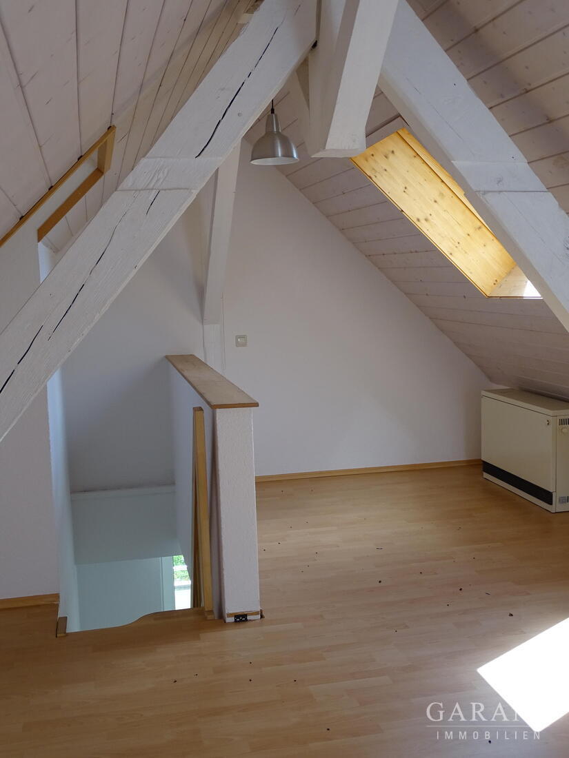 Exklusives Mehrfamilienhaus mit weitläufigem Park in einmaliger Lage! – 79669 Zell im Wiesental, 79669 Zell im Wiesental – Vorschaubild 24