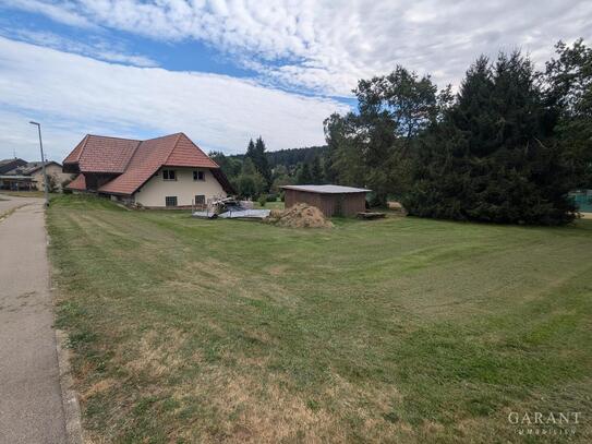 Platz ohne Ende - Ehemaliges Bauernhaus mit riesen Grundstück!