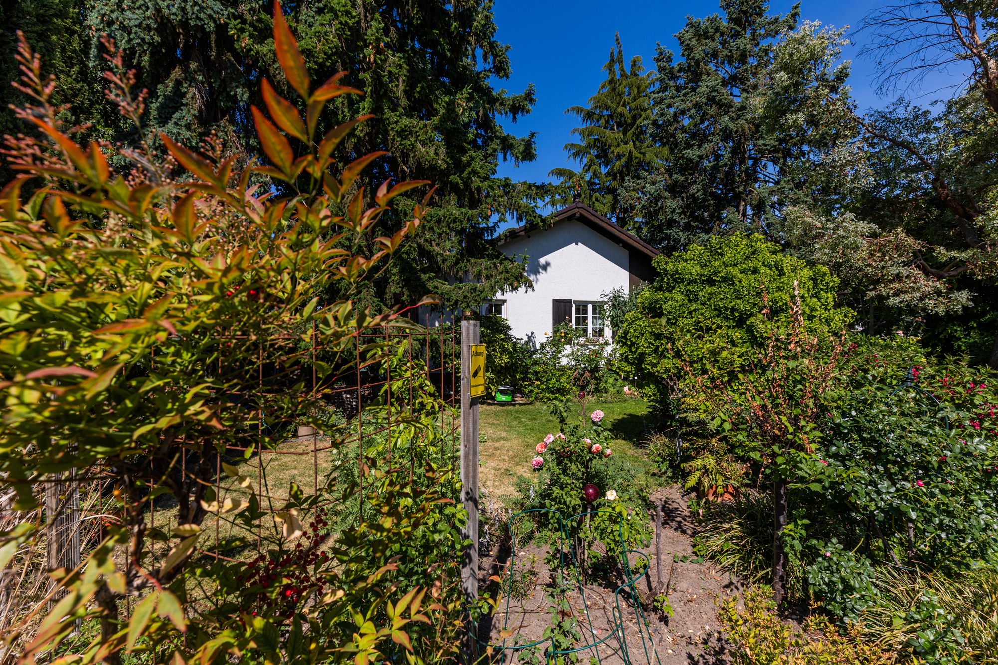Haus im Bungalow-Stil auf großem Grundstück mit traumhaftem Garten, altem Baumbestand und Pool – 55246 Mainz-Kostheim, 55246 Mainz-Kostheim – Vorschaubild 2