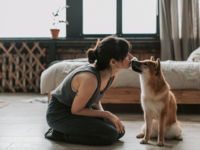 Haustiere in der Wohnung - Was ist erlaubt? 