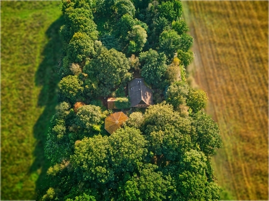 Pferdehof/Resthof in Edewecht – Ideal zur Sanierung und Renovierung in Alleinlage