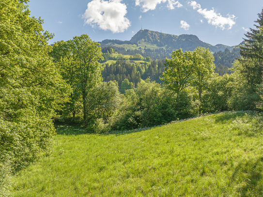 Traumhaftes Grundstück am Fuße des Kitzbüheler Horns