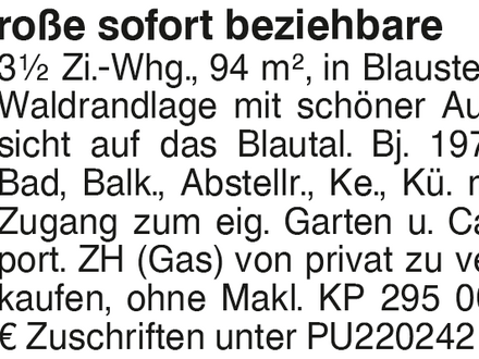 Große sofort beziehbare 3,5 Zi.-Whg.