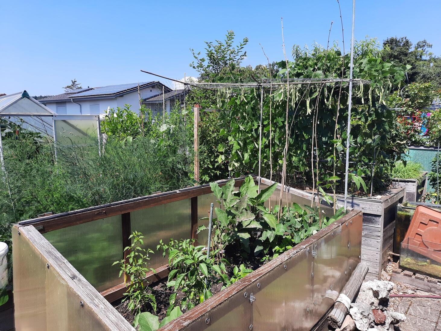 Modernes Einfamilienhaus für Gartenliebhaber - in bevorzugter Lage von Jestetten! – 79798 Jestetten, 79798 Jestetten – Vorschaubild 12