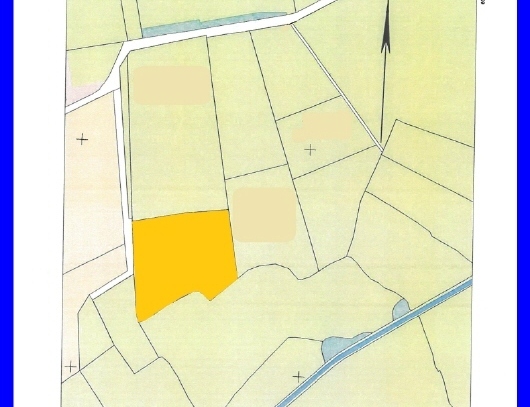 1,50 ha Grünland in Hollwegerfeld
