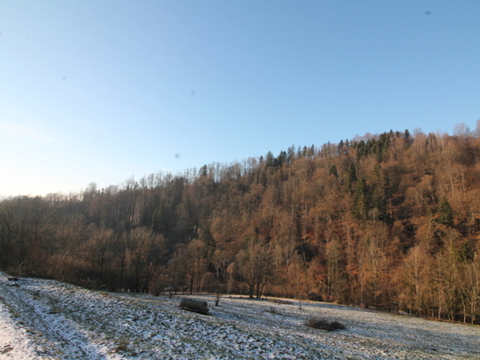 Obernzell: 35.684 m² landwirtschaftliche Nutzfläche – Wiese – ideal auch als Ausgleichsfläche