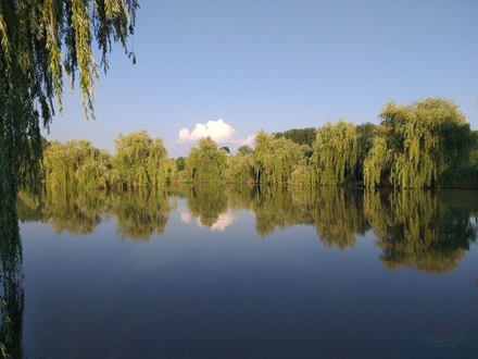 Seehausparadies: Idylle am eigenen Gewässer