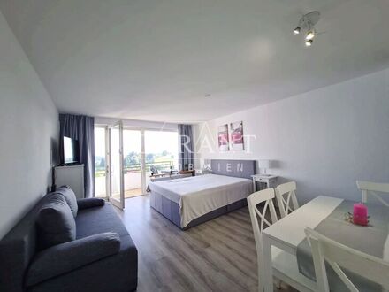 Renoviertes 1 Zimmer-Apartment mit fantastischer Aussicht!