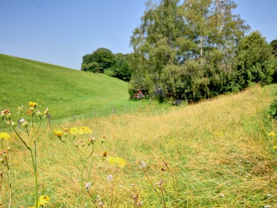 Einzigartiges Grundstück - Greith Gemeinde Schrattenbach