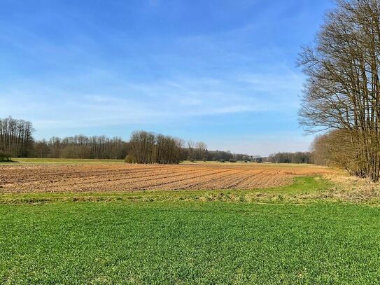 Acker- und Grünfläche mit 7.590 m² bei Rain/Niedermotzing