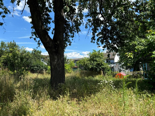 Großes Grundstück im Stadtteil Damm