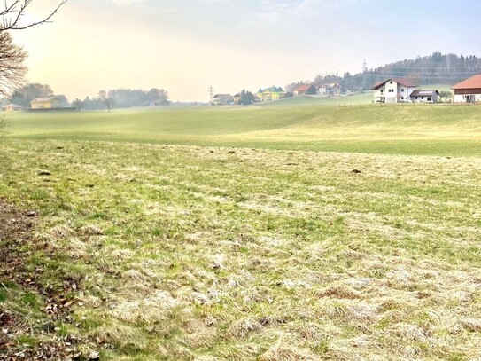 Anleger aufgepasst! Hohe GFZ! 1571 m2 ruhiges Grundstück in Gundertshausen am Waldrand!