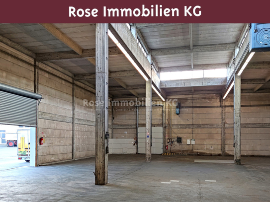 ROSE IMMOBILIEN KG: Kalthalle! Hier lagern Sie bis 6,50m Höhe!