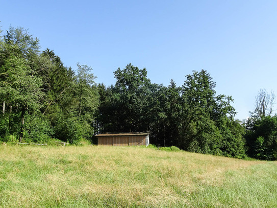 Waldgrundstück mit Grünland (für Wald und Naturliebhaber) in Oed - Nähe Amstetten