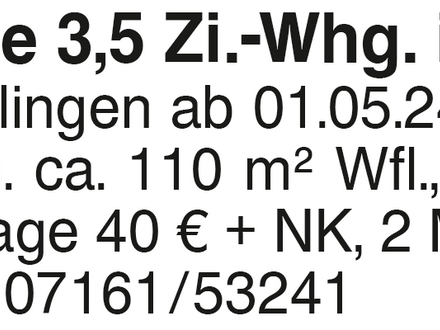 4-Zi.-DG-Whg., Birenbach