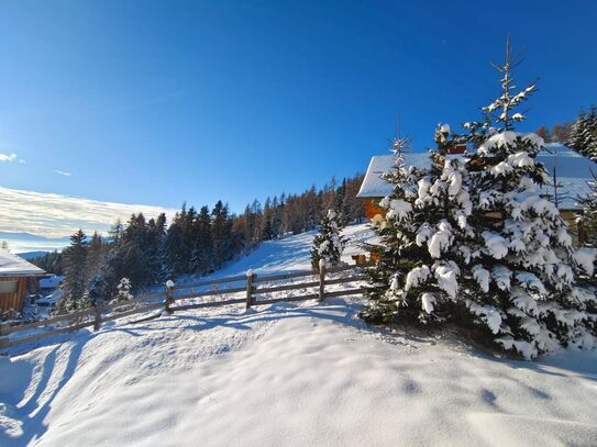 ALMHAUS AN DER PISTE | FREIZEITWOHNSITZ - HAUPTWOHNSITZ und VERMIETUNG möglich | HOCHRINDL | NOCKBERGE