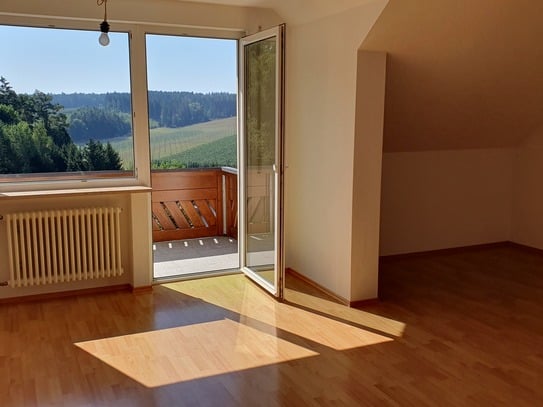 Ruhige 4 Zimmer DG Wohnung mit schöner Aussicht