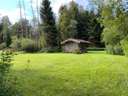 Filzengrundstück; Streuwiese, Wiese, Wald, Hütte und Wasser