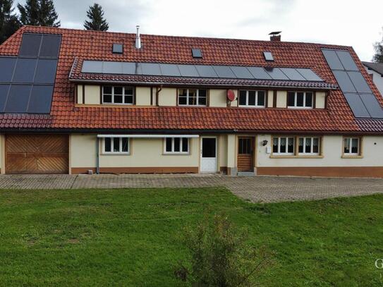 Platz ohne Ende - Ehemaliges Bauernhaus mit riesen Grundstück!