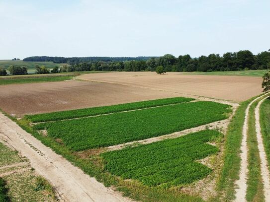 Landwirtschaftliche Flächen bei Niederhausen/Reisbach