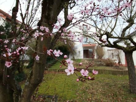 *** BLÜTE IN DIEBURG ***