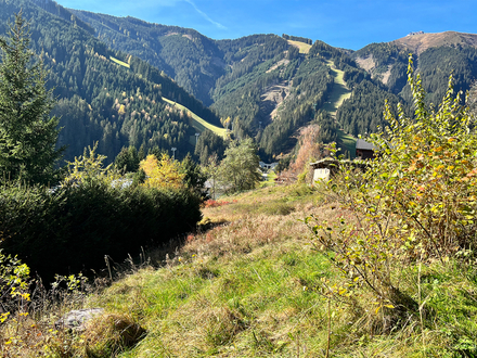Schmittenhöhe! Baugrund Ski-In Ski-Out an der Skipiste der Sonnenalmbahn