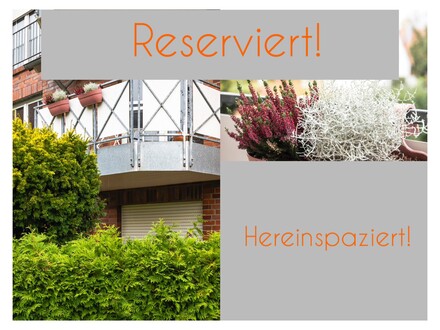 TOP Lage! Mauritzviertel! Gemütliche Zweizimmerwohnung mit Balkon