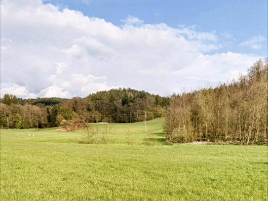 Musterhausaktion inkl. Grundstück: Kompakt-Bungalow (80m2) 8km nahe Michaelbeuern (Wagenham)