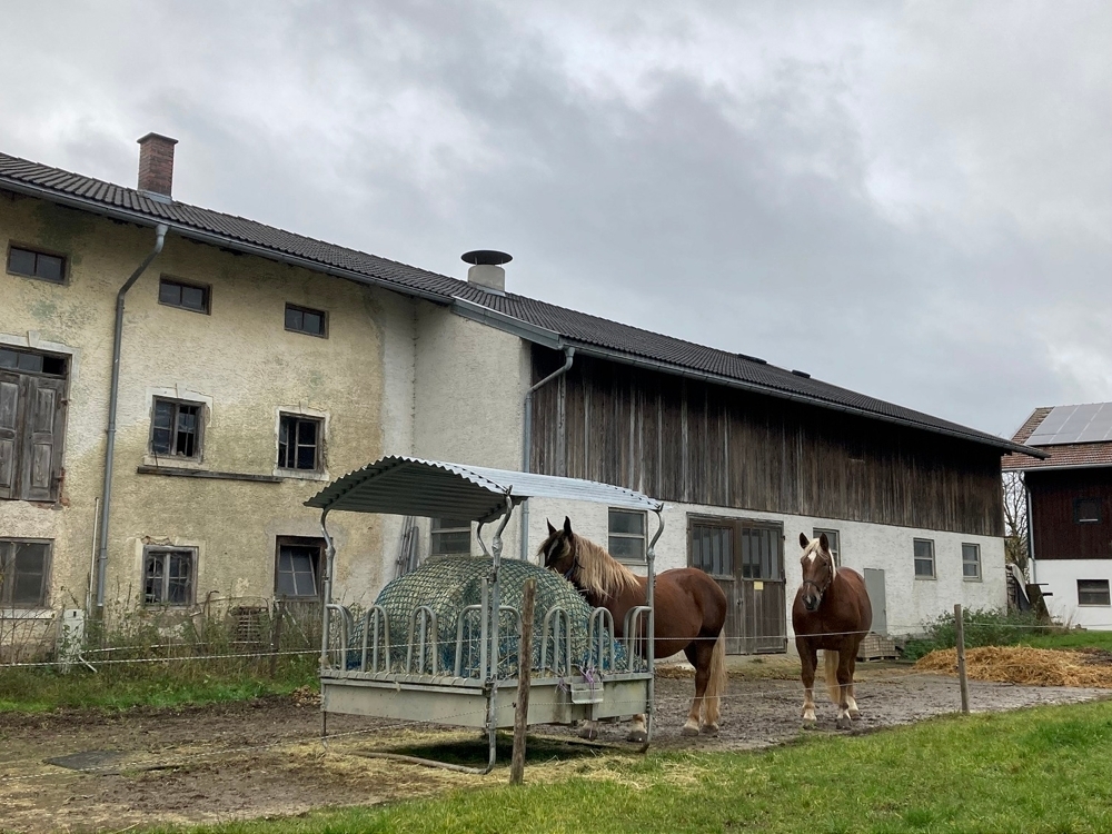 Bereit für neue Ideen! Leerstehendes Bauernhaus auf großzügigem Grundstück – 83301 Traunreut, 83301 Traunreut – Vorschaubild 20