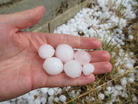 Keine Gefahr durch Hagel und Sturm