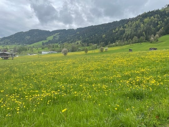 TOP-Baugrund in der Niederau