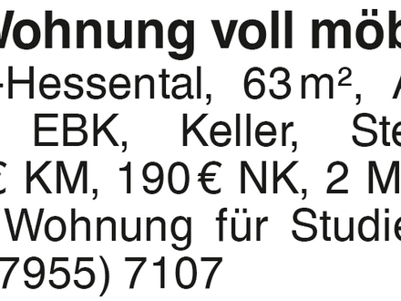 2-Zi-Wohnung voll möbliert