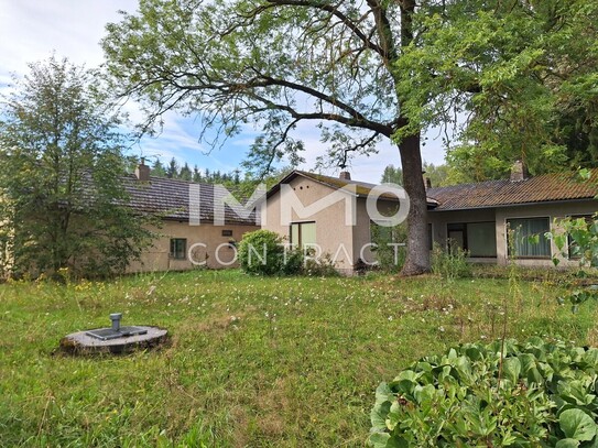 Bungalow aus den 60iger Jahren am Waldrand liegend, nördliches Waldviertel - Heidenreichstein