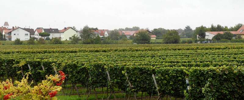 Ortsansicht Niederkirchen