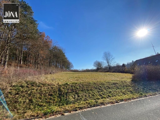 Ländliche Idylle - großzügiges Grundstück mit Wiese und Wald in Kirchleus