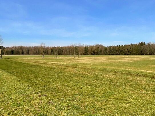 Grünfläche mit 3.540 m² bei Rain/Niedermotzing(Mittelmoos)