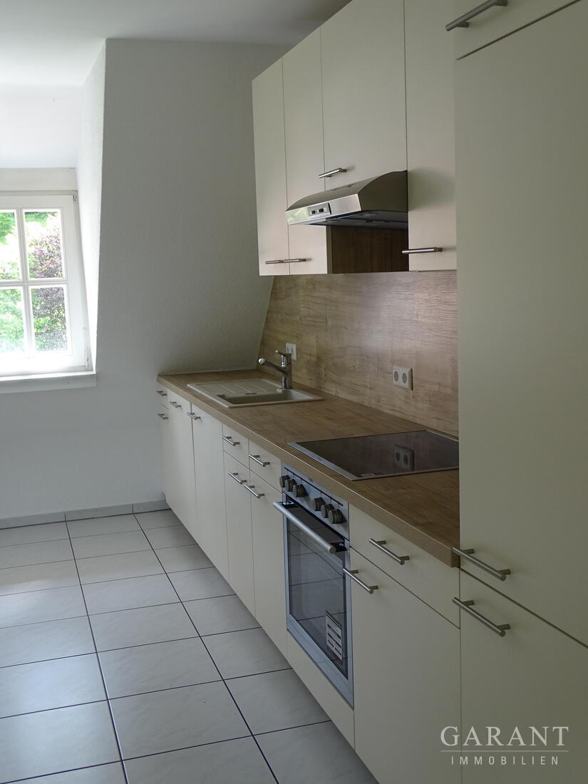 Exklusives Mehrfamilienhaus mit weitläufigem Park in einmaliger Lage! – 79669 Zell im Wiesental, 79669 Zell im Wiesental – Vorschaubild 23