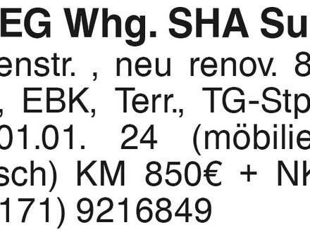 4 Zi. EG- Whg.