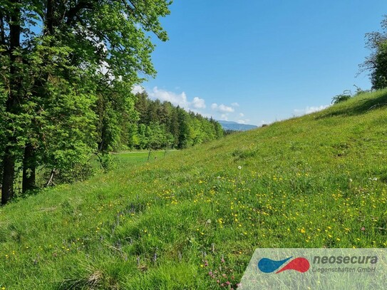 Für HÄUSELBAUER und PROJEKTREALISIERER! Grundstück Nähe Faaker See