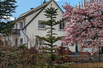 ...Blick aufÂ´s Haus