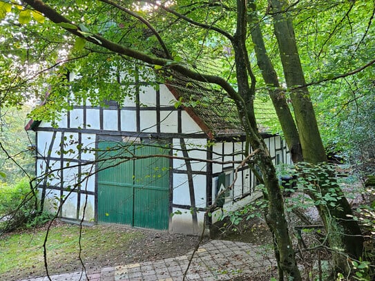 Mitten im Wald bei Ostercappeln: Kleines Haus mit großem Potential! OPEN HOUSE am 23.11. um 11h!